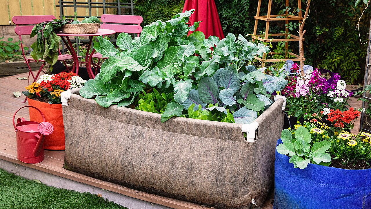 Verhoogde moestuinbak met groenten, bloemen en een rode gieter