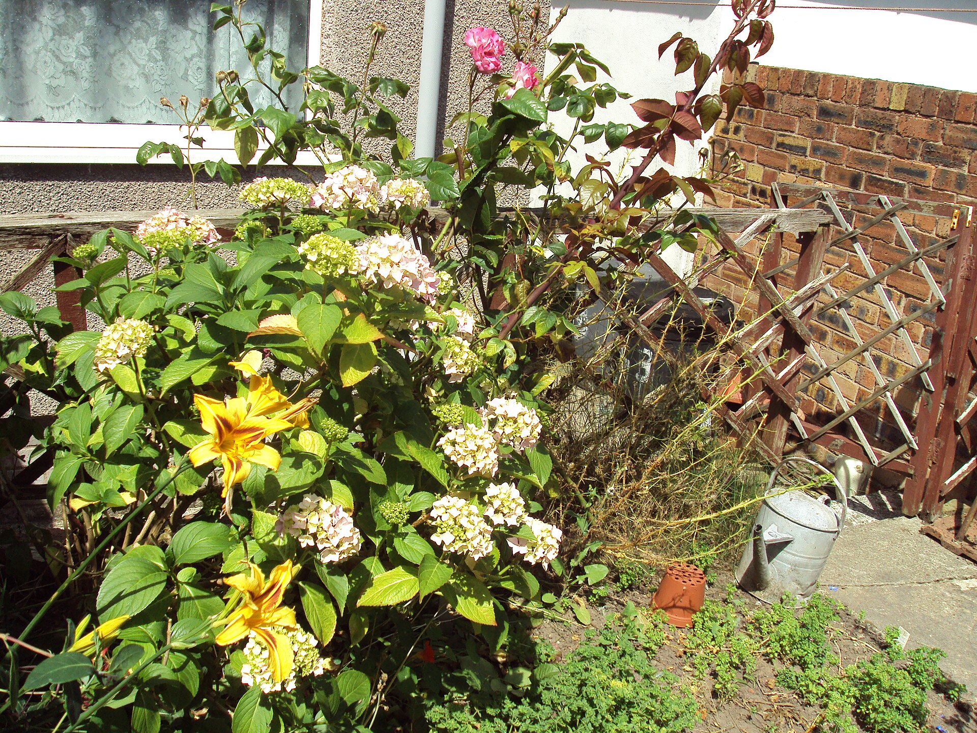 Een tuin beginnen: eenvoudige tips voor absolute beginners