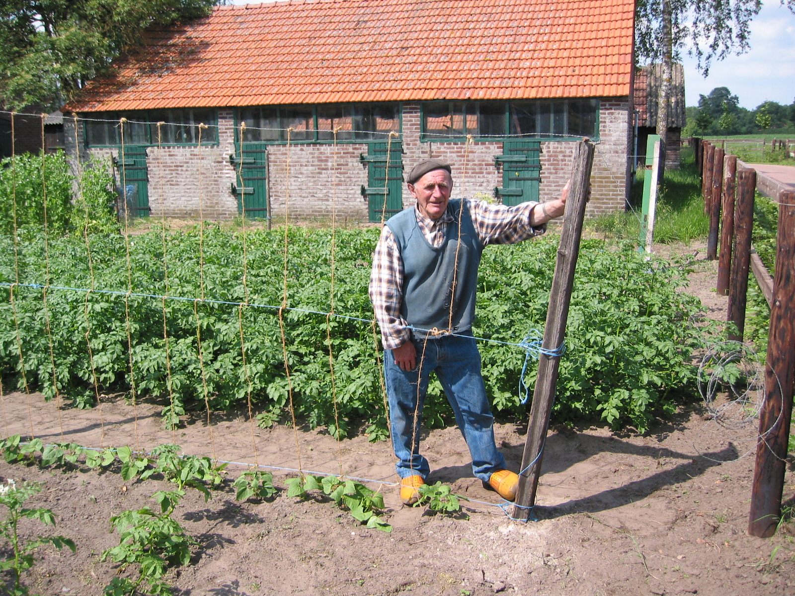Tuinieren in september: je tuin voorbereiden op het najaar
